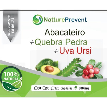 ABACATEIRO + QUEBRA PEDRA + UVA URSI 60 / 90 / 120 cápsulas 500mg suplemento alimentar