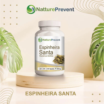 Espinheira Santa 60 / 90 / 120 Cápsulas de 500mg Suplemento alimentar