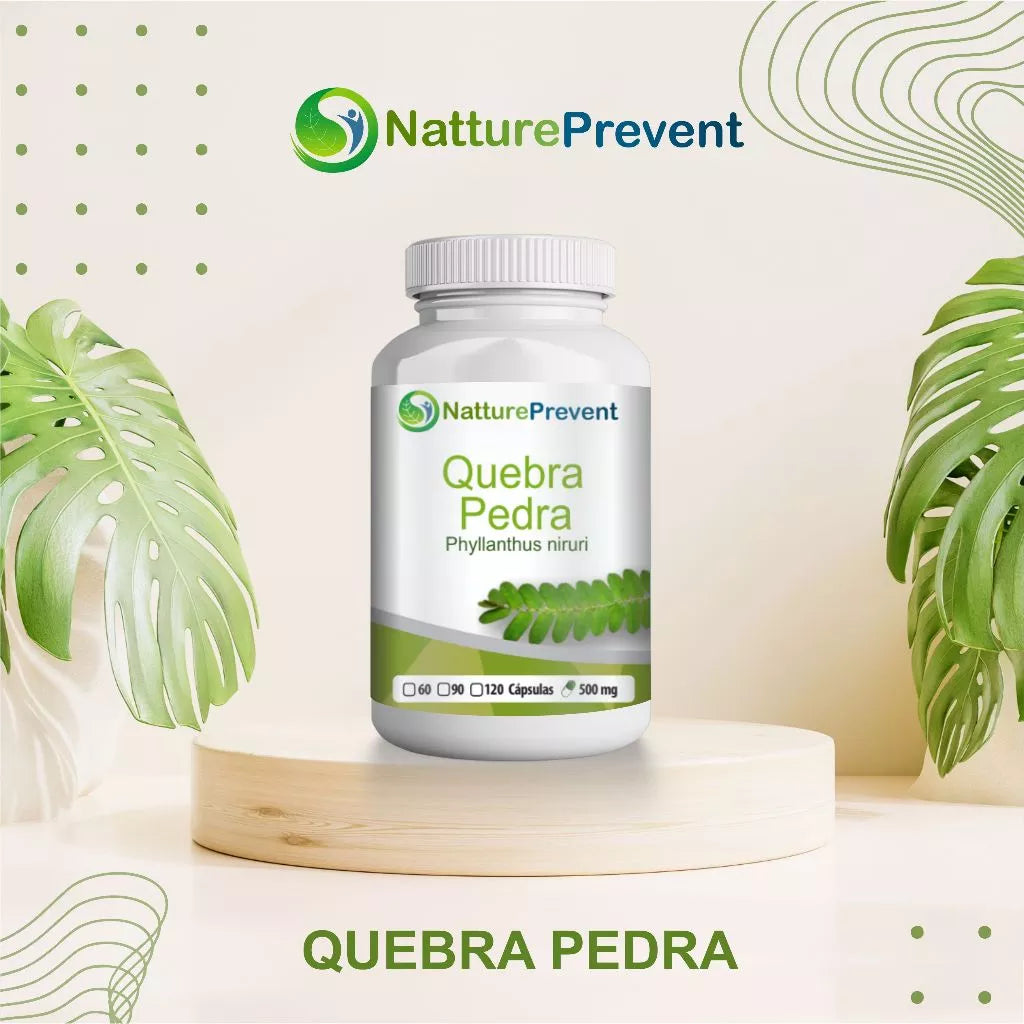 Quebra Pedra 500mg 60 / 90 / 120 Cápsulas - Suplemento Alimentar Natural