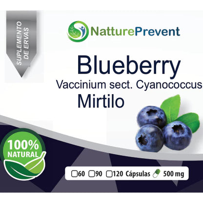 Blueberry 500mg 60 / 90 / 120 Cápsulas - Suplemento Alimentar Natural