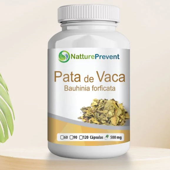 Pata de Vaca Bauhinia forficata 500mg 60 / 90 / 120 Cápsulas - Suplemento Alimentar Natural