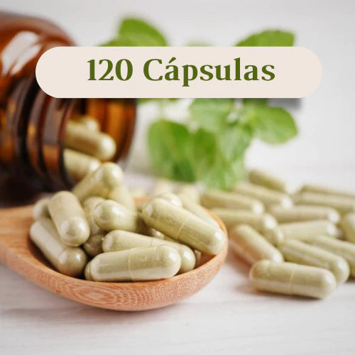 Inhame 500mg 60 / 90 / 120 Cápsulas - Suplemento Alimentar Natural