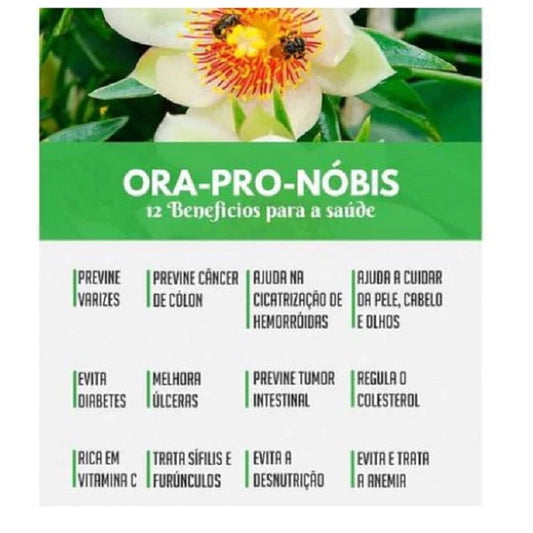 Ora Pró Nobis 500 Mg 60 / 90 Cápsulas - Naturemaxx - Suplemento Alimentar Natural